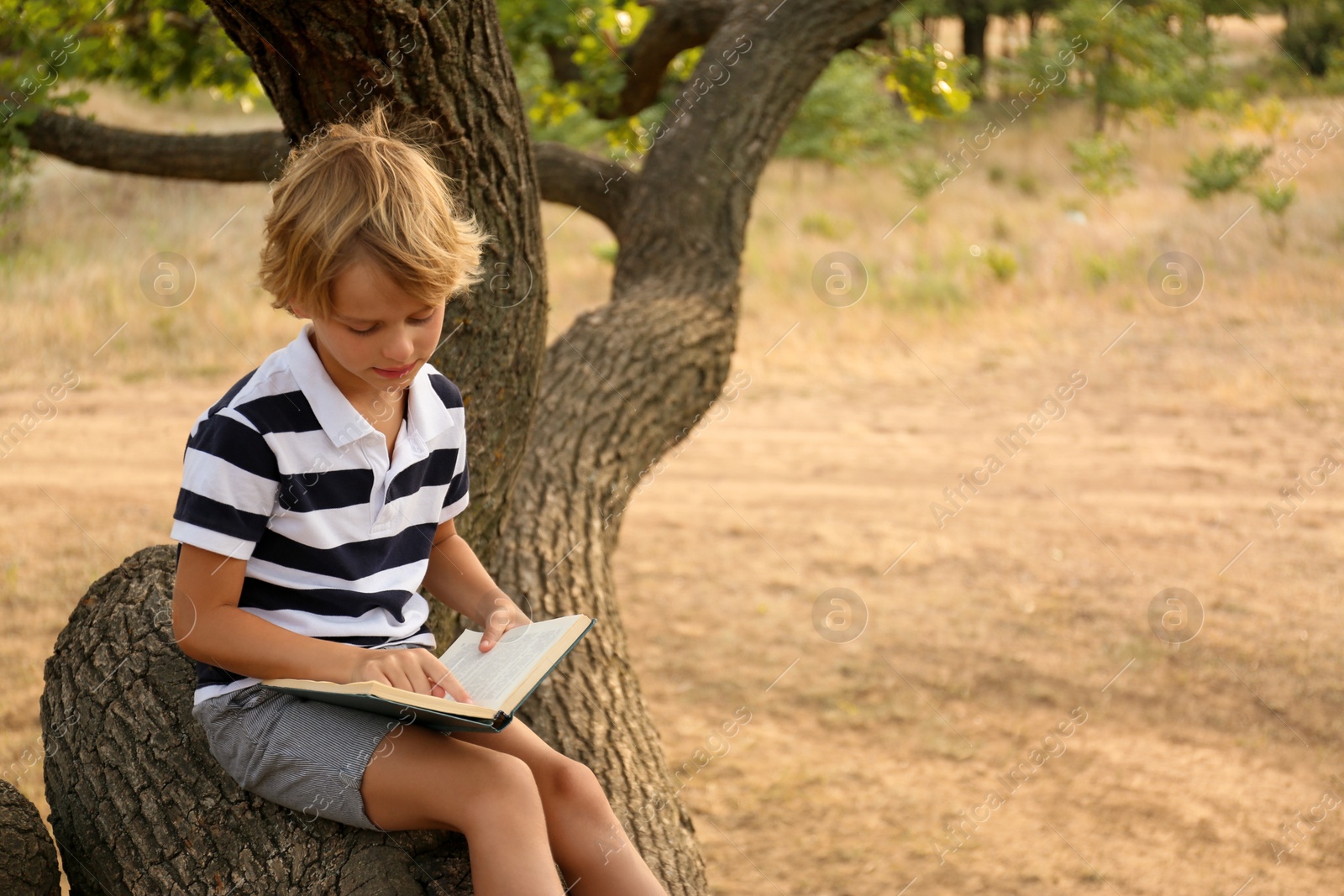 Photo of Cute little boy reading book on tree in park