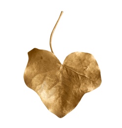 Gold painted autumn leaf isolated on white