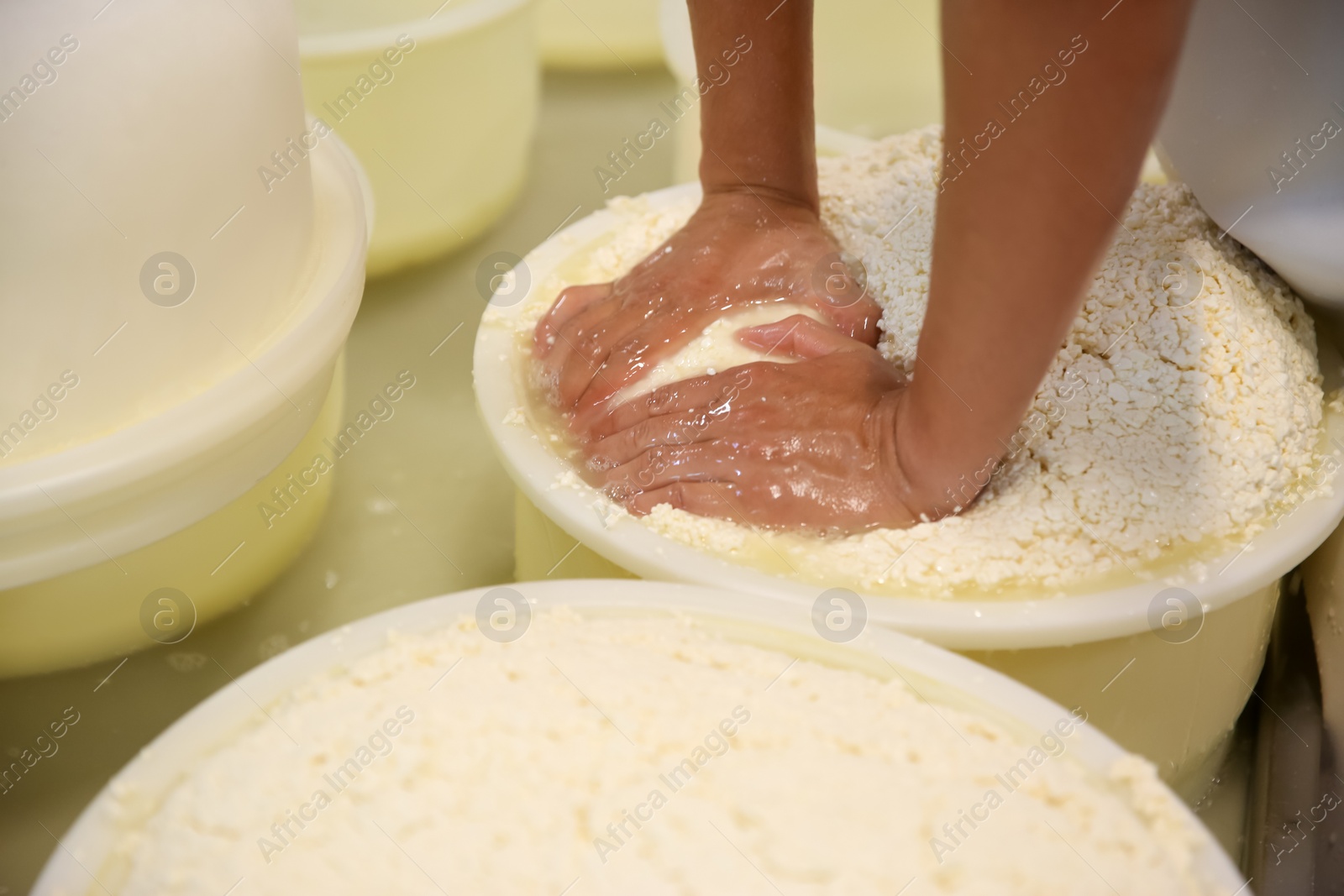 Photo of Worker pressing curd into mould at cheese factory, closeup