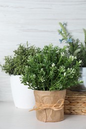 Different aromatic potted herbs on white table