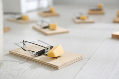 Photo of Mousetraps with pieces of cheese on floor indoors. Pest control