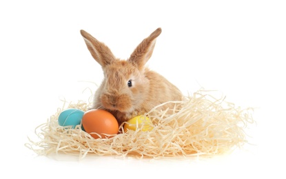 Adorable furry Easter bunny with decorative straw and dyed eggs on white background