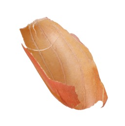 Photo of Seed coat of peanut isolated on white