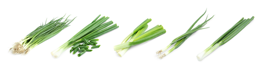 Image of Collage with green spring onions on white background. Banner design 