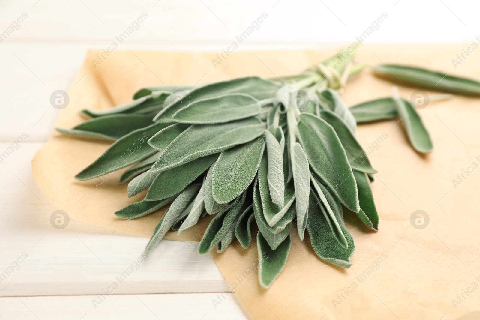 Photo of Bunch of fresh green sage with parchment on white wooden table, closeup