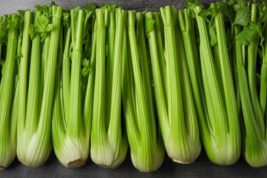 Photo of Many fresh green celery bunches on black table, flat lay