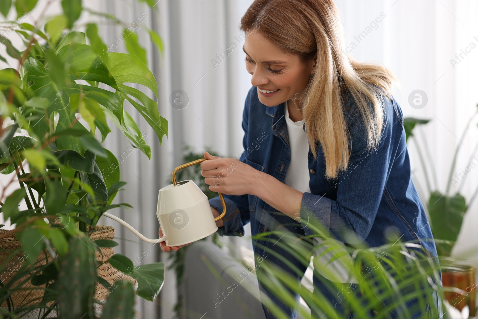 Photo of Woman watering beautiful potted houseplants at home