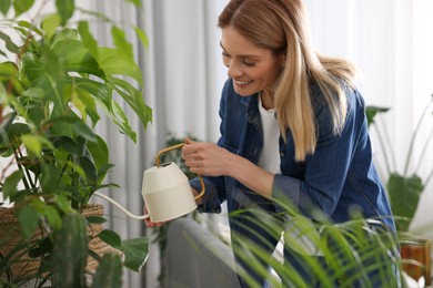 Woman watering beautiful potted houseplants at home