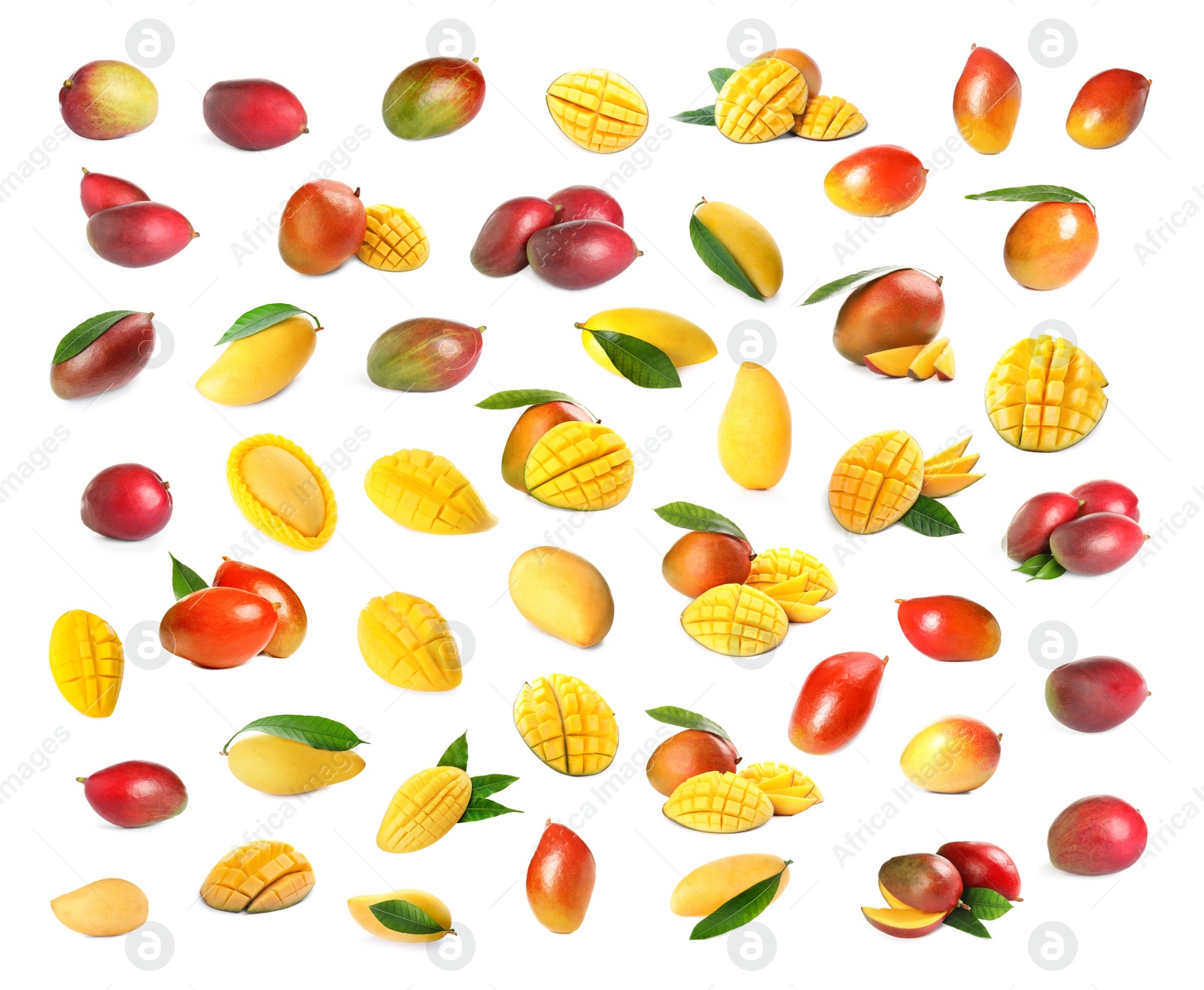 Image of Set of delicious mangoes on white background