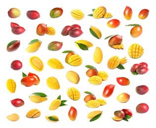 Image of Set of delicious mangoes on white background