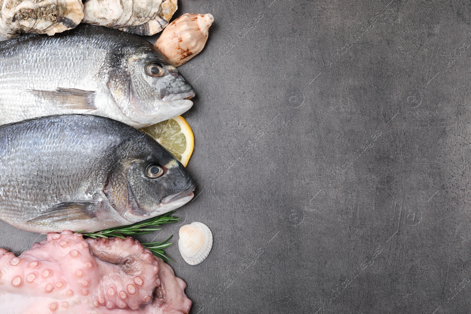 Photo of Flat lay composition with fresh raw dorado fish and different seafood on grey table. Space for text