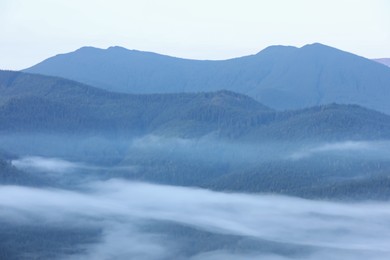 Beautiful view of foggy mountains covered with forest