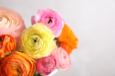 Photo of Beautiful ranunculus flowers against light background, closeup. Space for text