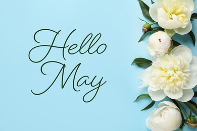 Hello May. Fragrant peonies on light blue background, flat lay 