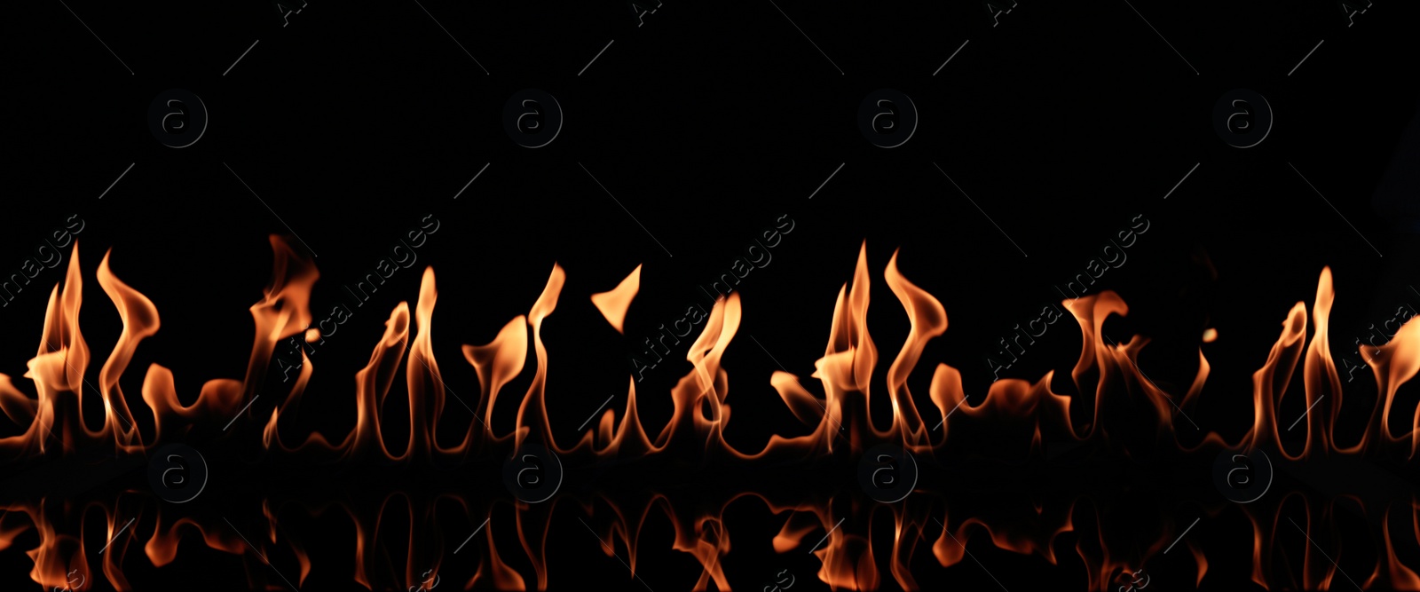 Photo of Beautiful bright fire flames on black background