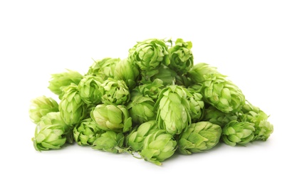 Photo of Fresh green hops on white background. Beer production