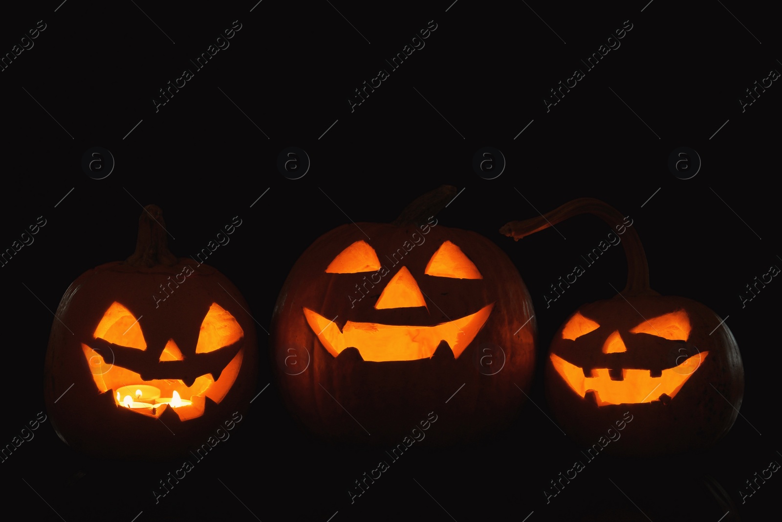 Photo of Halloween pumpkin heads. Glowing jack lanterns in dark