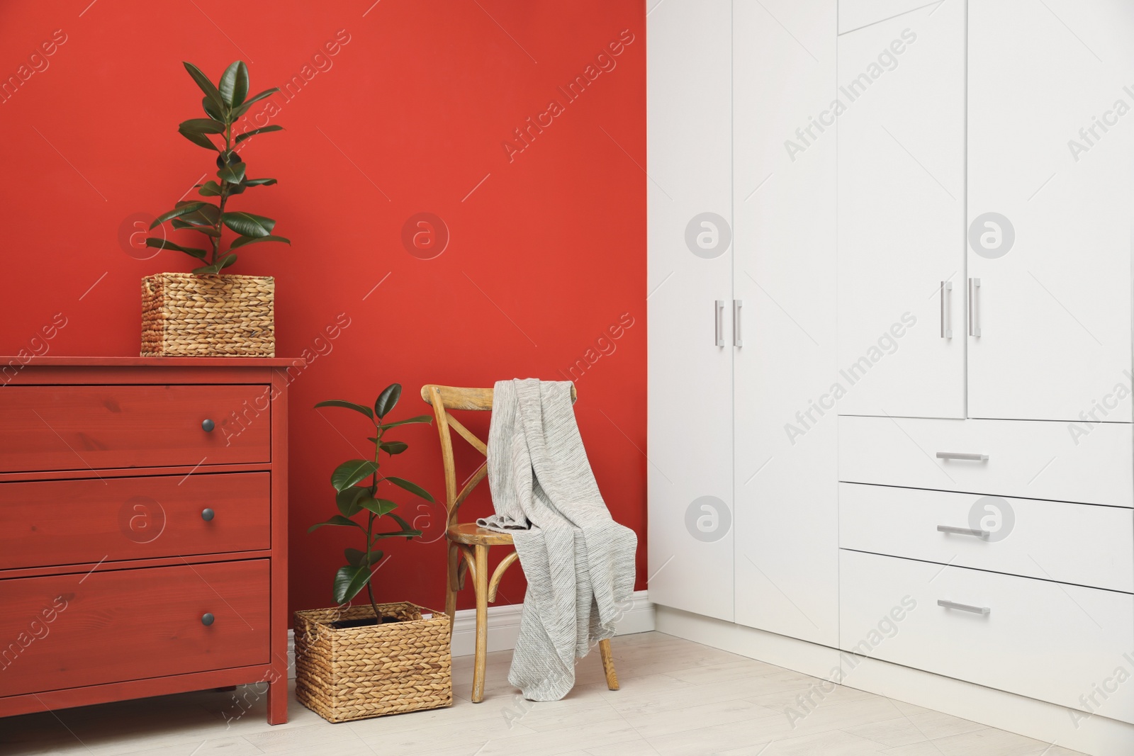 Photo of Tropical plants in wicker pots near red wall at home