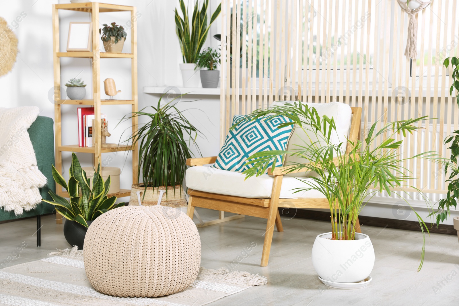 Photo of Living room interior with beautiful different potted green plants and furniture. House decor