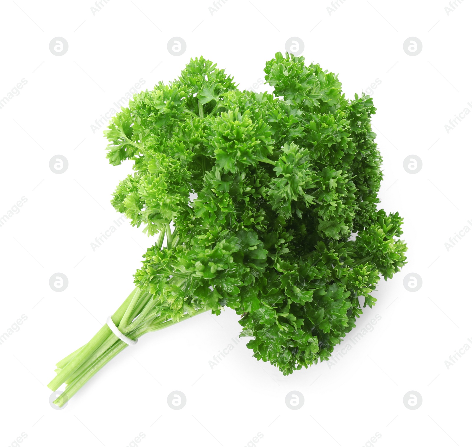 Photo of Bunch of fresh curly parsley on white background