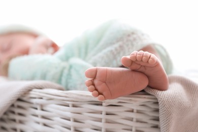 Newborn baby lying on plaid in basket, closeup of legs. Space for text