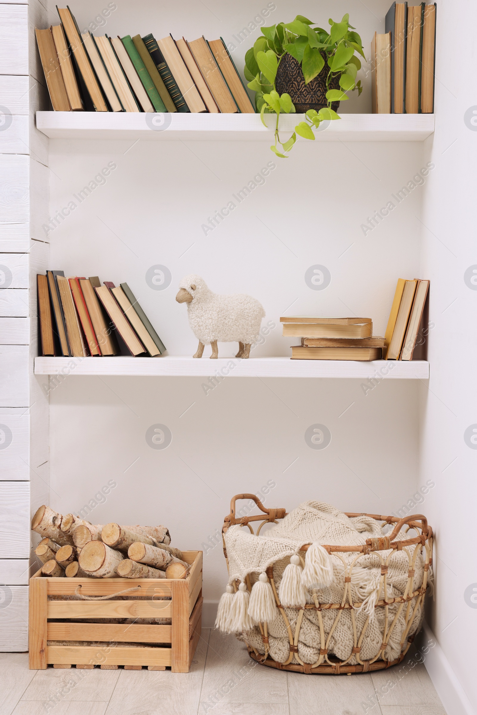 Photo of Collection of books and decor elements on shelves indoors. Interior design