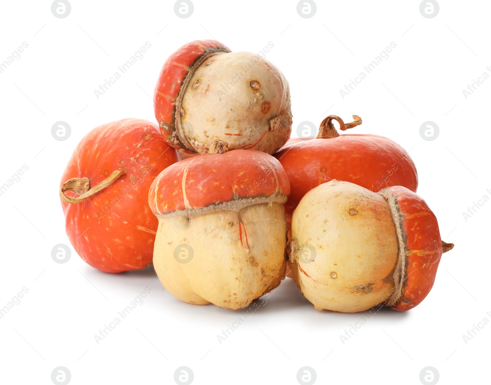 Photo of Fresh raw pumpkins isolated on white. Organic plant