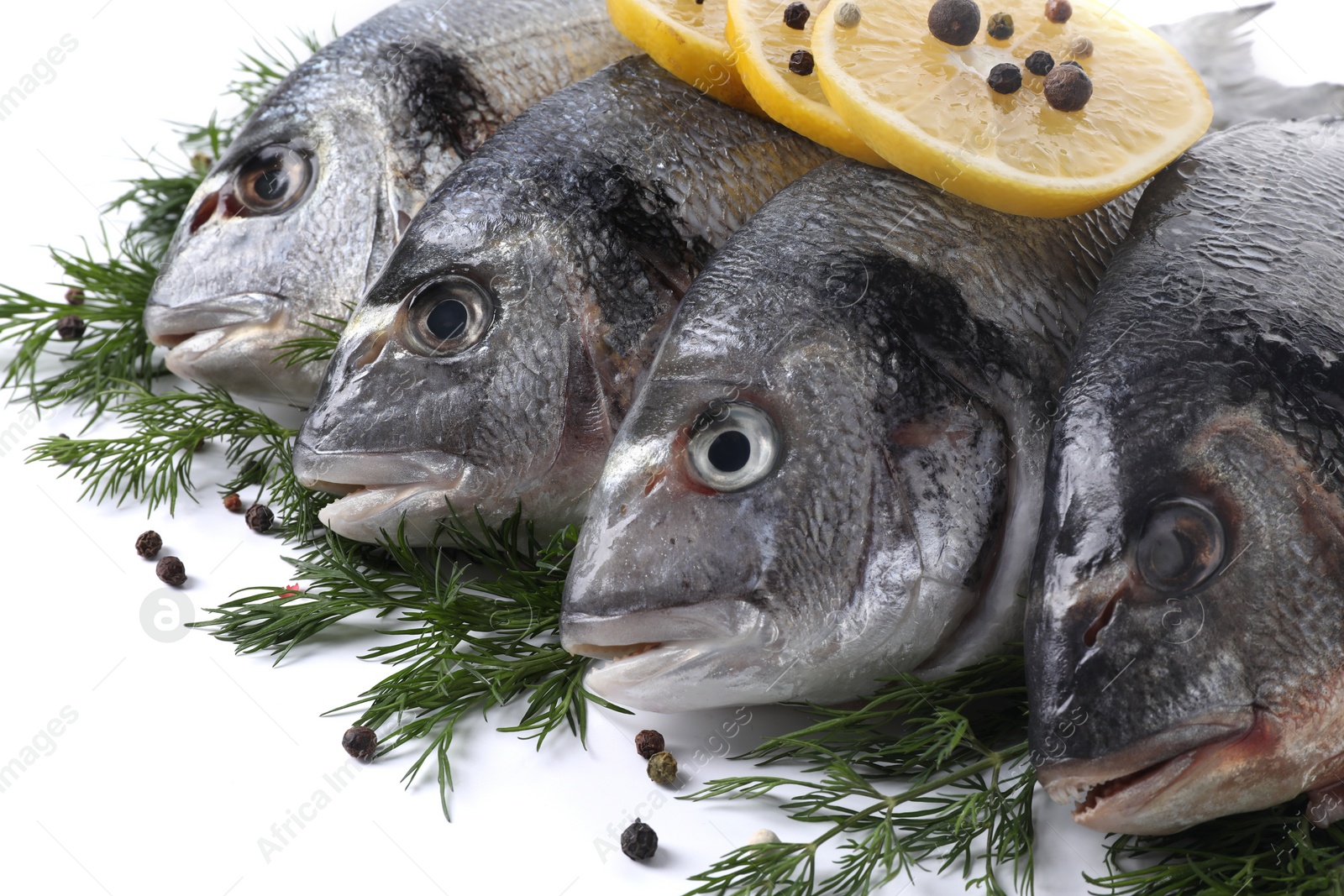 Photo of Raw dorado fish, dill, lemon slices and peppercorns isolated on white