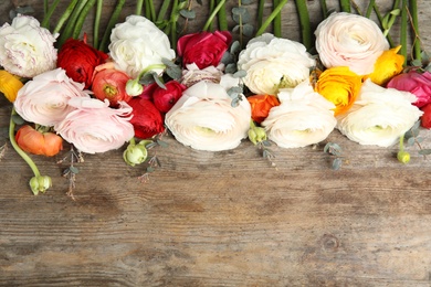 Photo of Beautiful ranunculus flowers and space for text on wooden background, flat lay