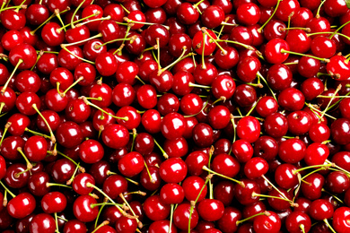 Sweet red cherries as background, top view