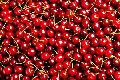 Photo of Sweet red cherries as background, top view