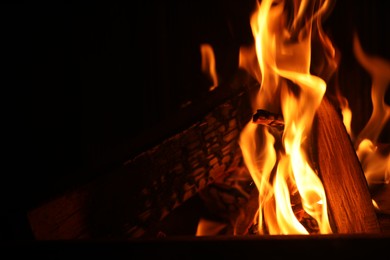 Photo of Bonfire with burning firewood on dark background, closeup. Space for text