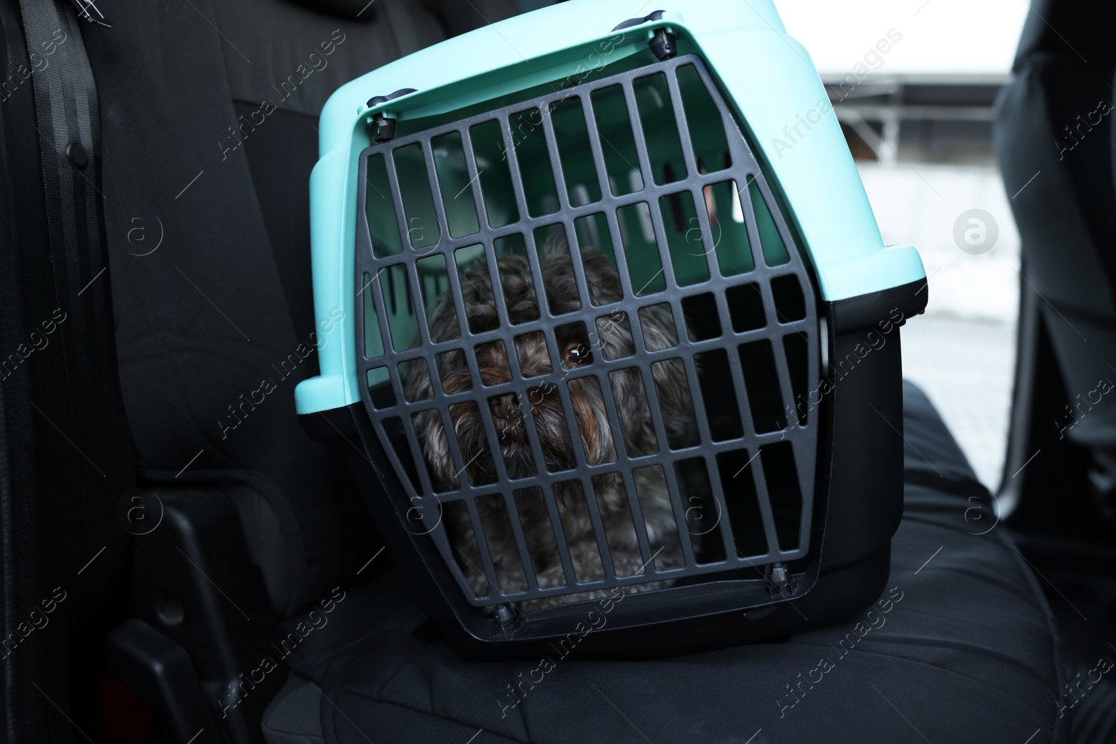 Photo of Cute dog in pet carrier travelling by car. Safe transportation