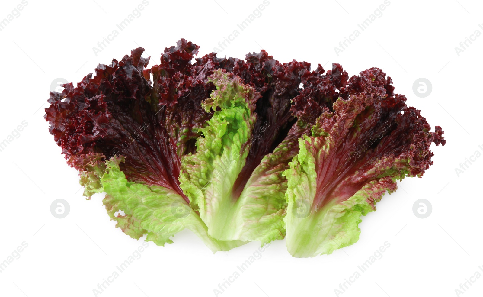 Photo of Leaves of fresh red coral lettuce isolated on white