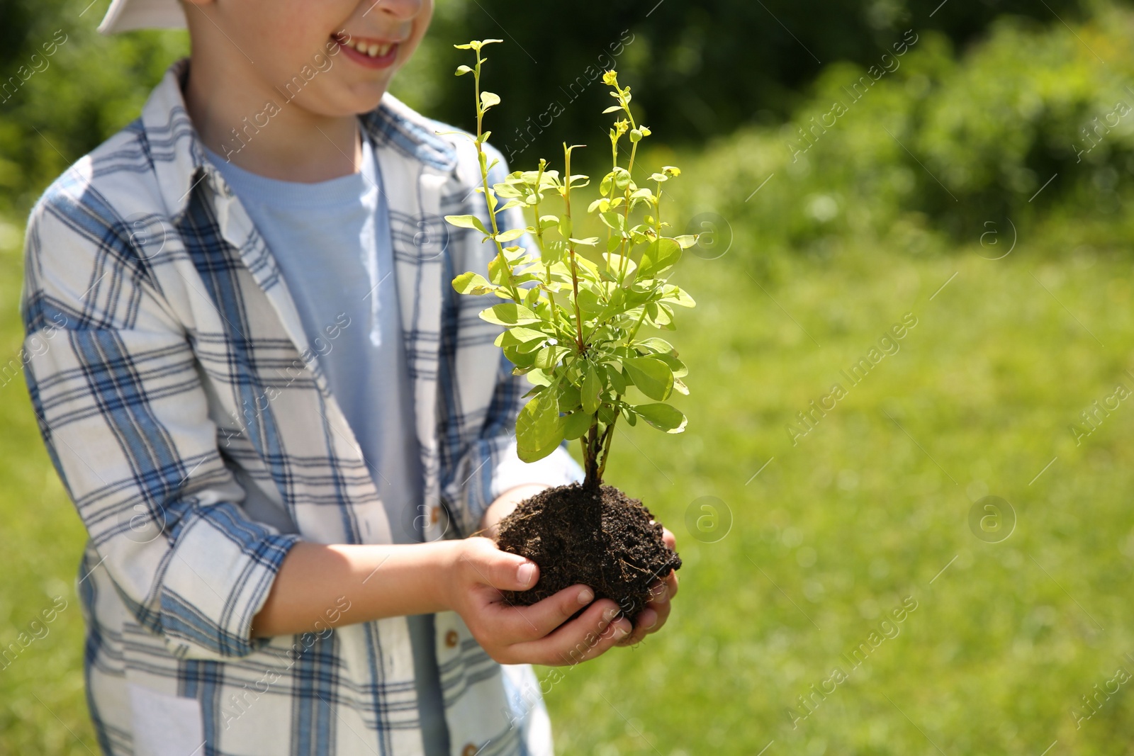 Photo of Child holding soil with young green tree outdoors, closeup