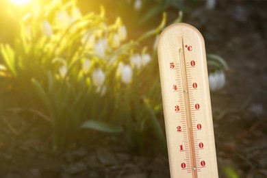 Image of Thermometer and blooming snowdrops outdoors. Temperature in spring