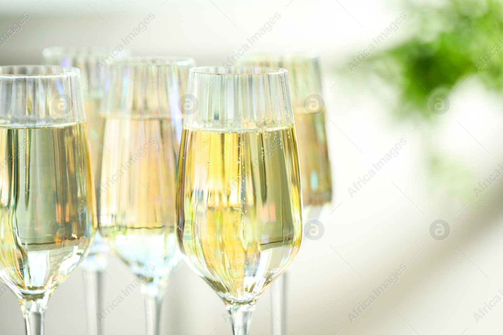 Photo of Glasses of champagne on blurred background, closeup view