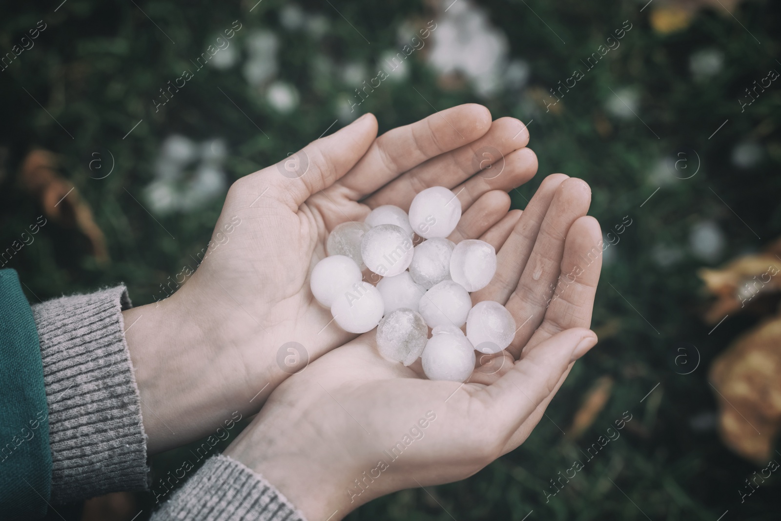 Photo of Woman holding hail grains after thunderstorm outdoors, closeup