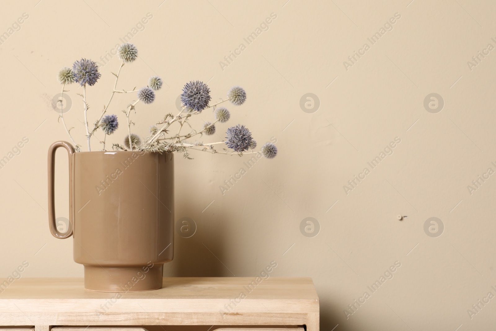 Photo of Stylish ceramic vase with wild flowers on wooden cabinet near beige wall. Space for text