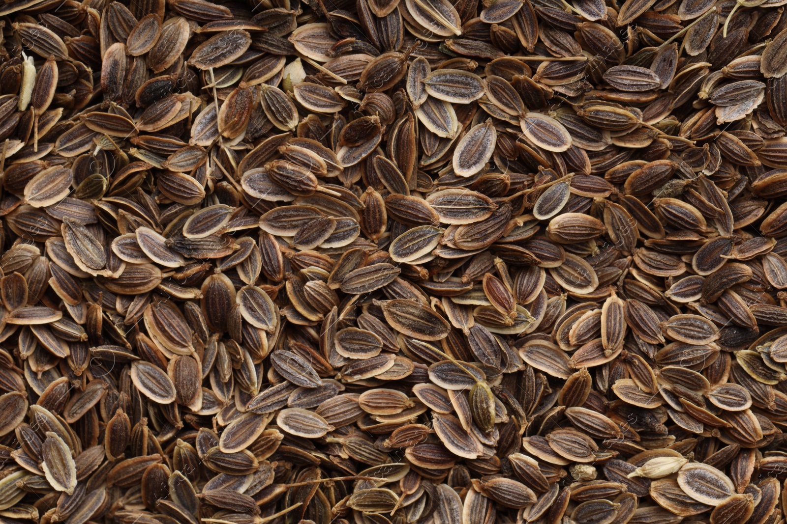 Photo of Many dry dill seeds as background, top view