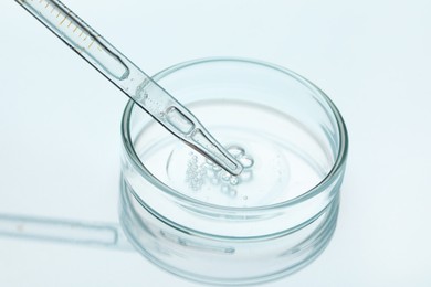 Photo of Glass pipette and petri dish with liquid on light background, closeup