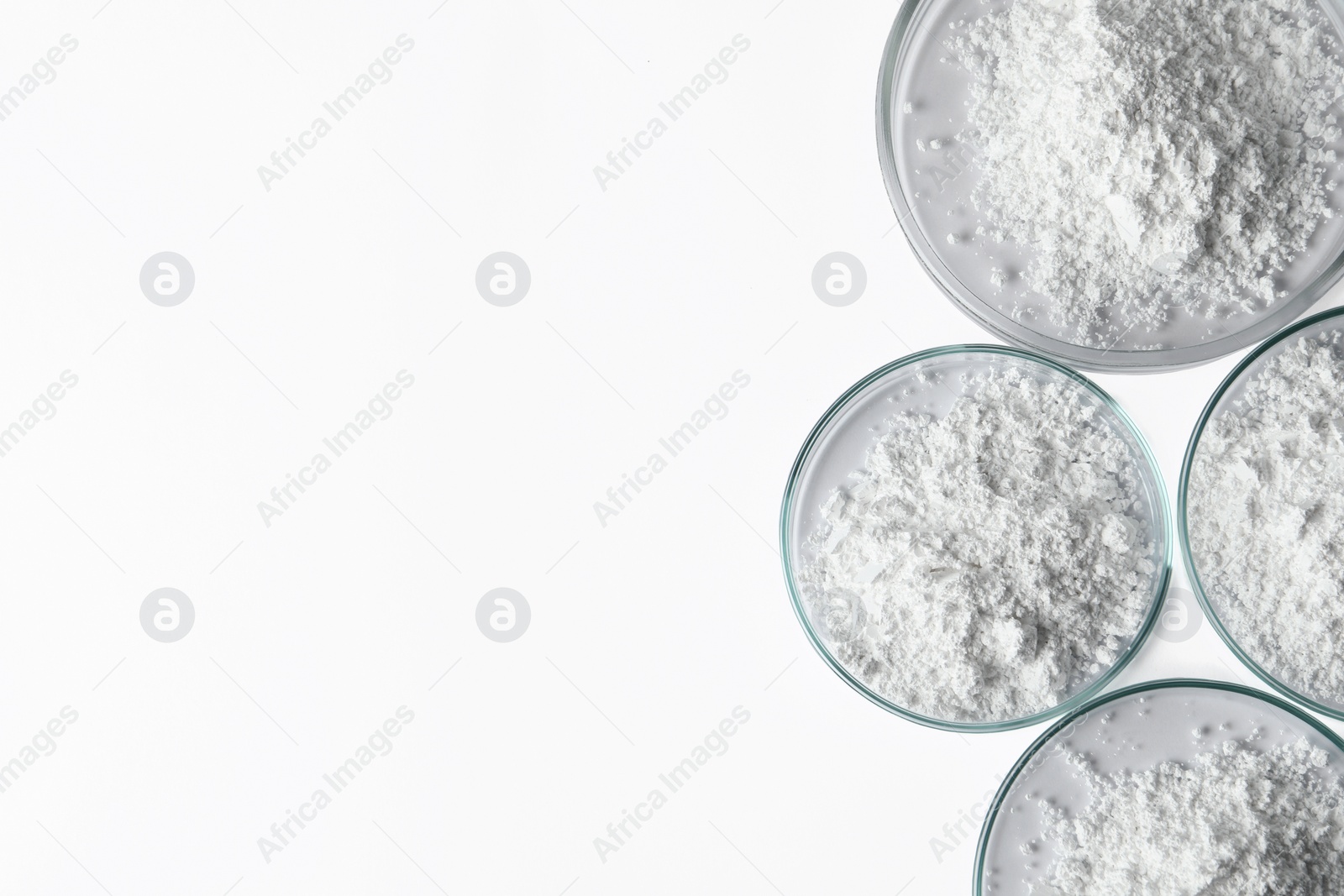 Photo of Petri dishes with calcium carbonate powder on white table, flat lay. Space for text