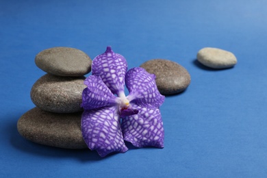 Photo of Spa stones with flower on color background. Space for text