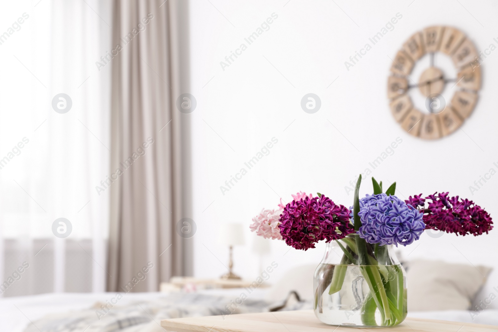 Photo of Beautiful hyacinths in glass vase on table indoors, space for text. Spring flowers