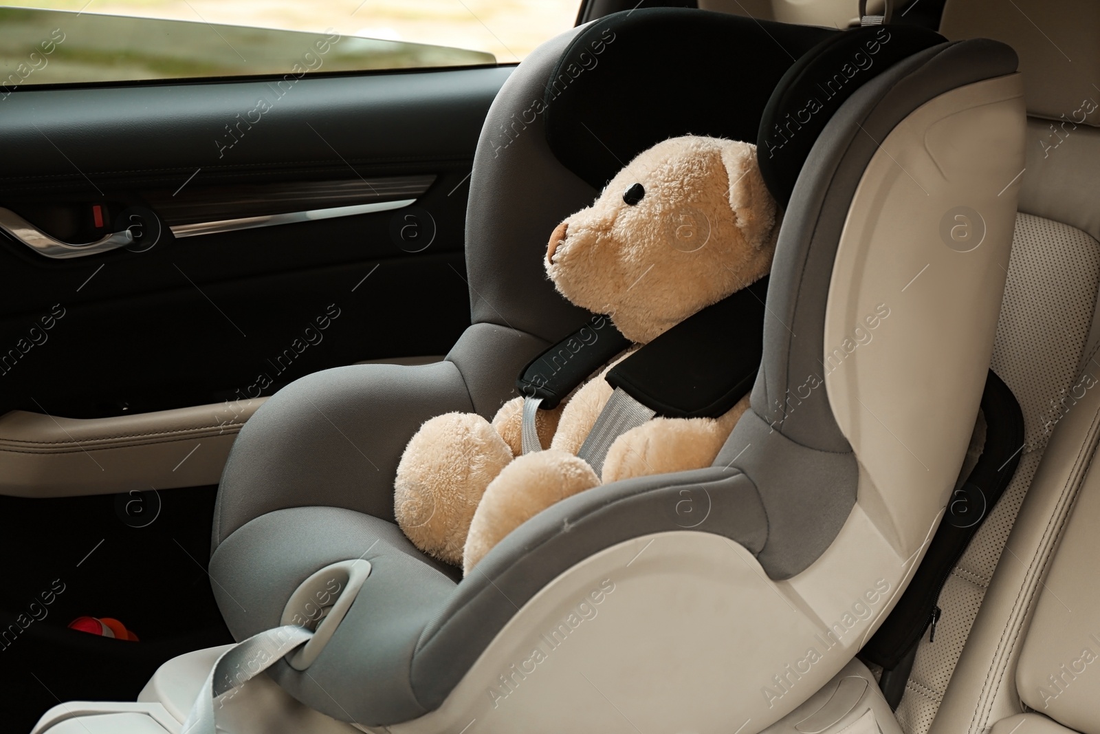 Photo of Safety seat for baby with cute toy bear