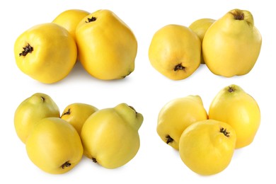 Fresh ripe quince fruits isolated on white, set