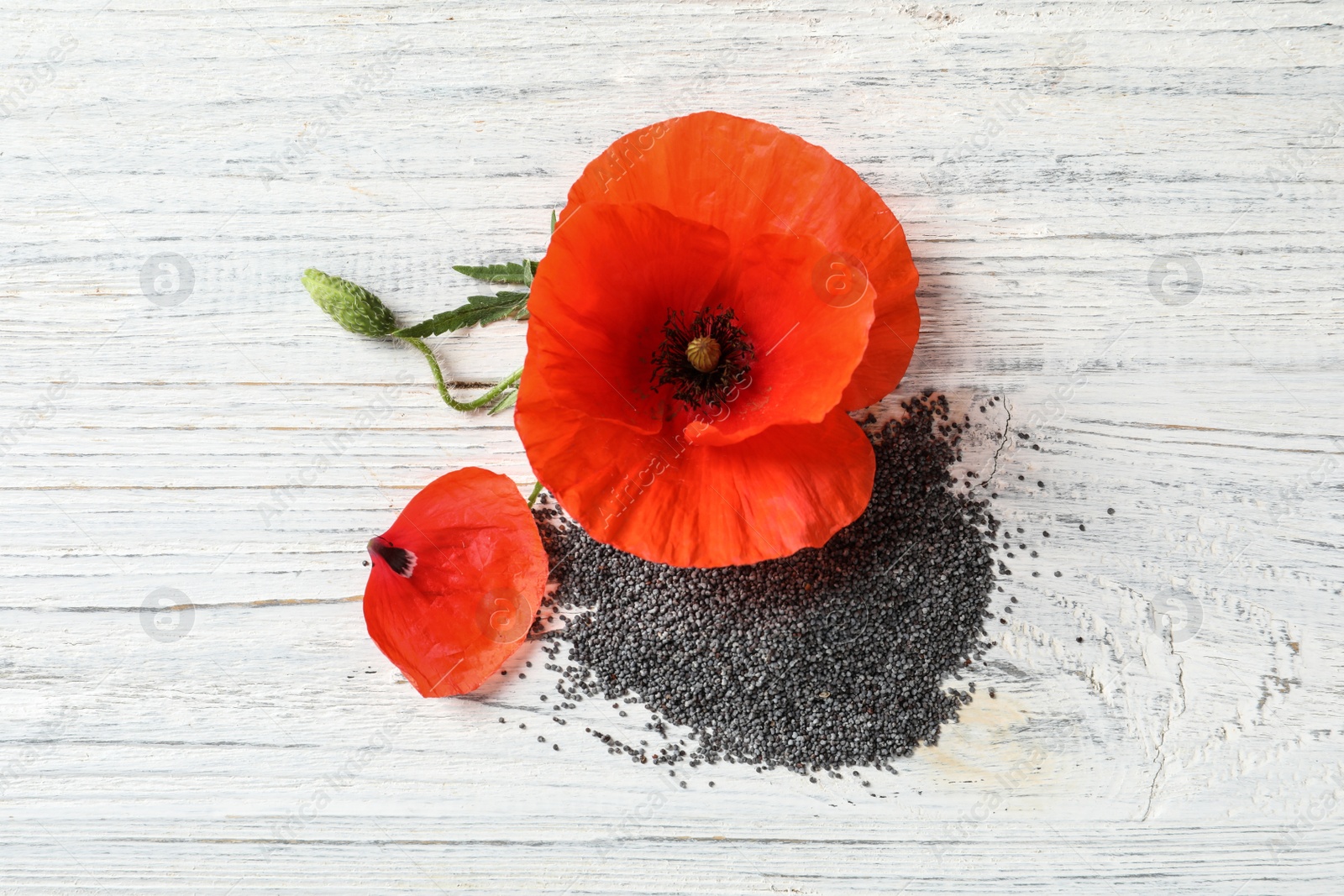 Photo of Poppy seeds and flower on white wooden table, flat lay