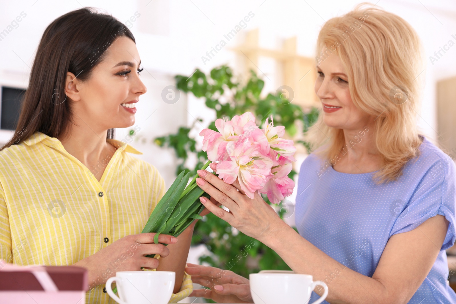 Photo of Young woman congratulating her mature mom in kitchen. Happy Mother's Day