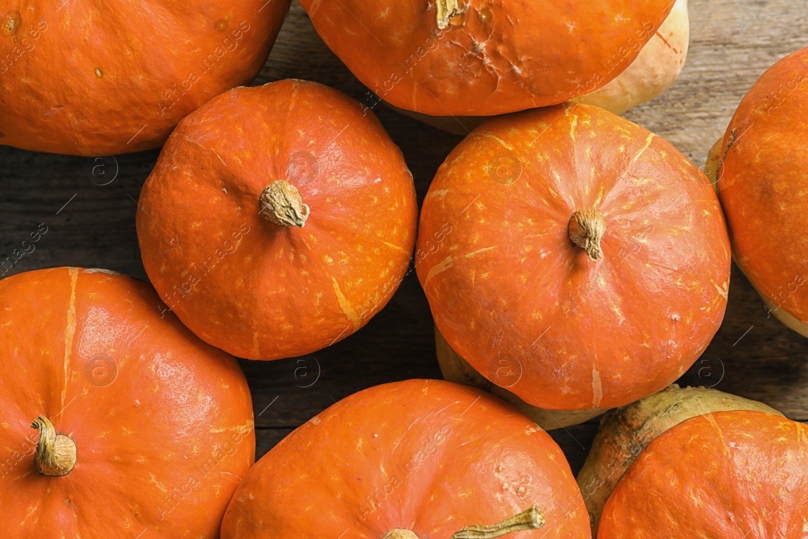 Photo of Many orange pumpkins as background, closeup. Autumn holidays