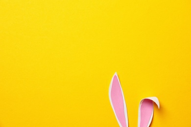 Funny Easter bunny ears on color background, top view with space for text